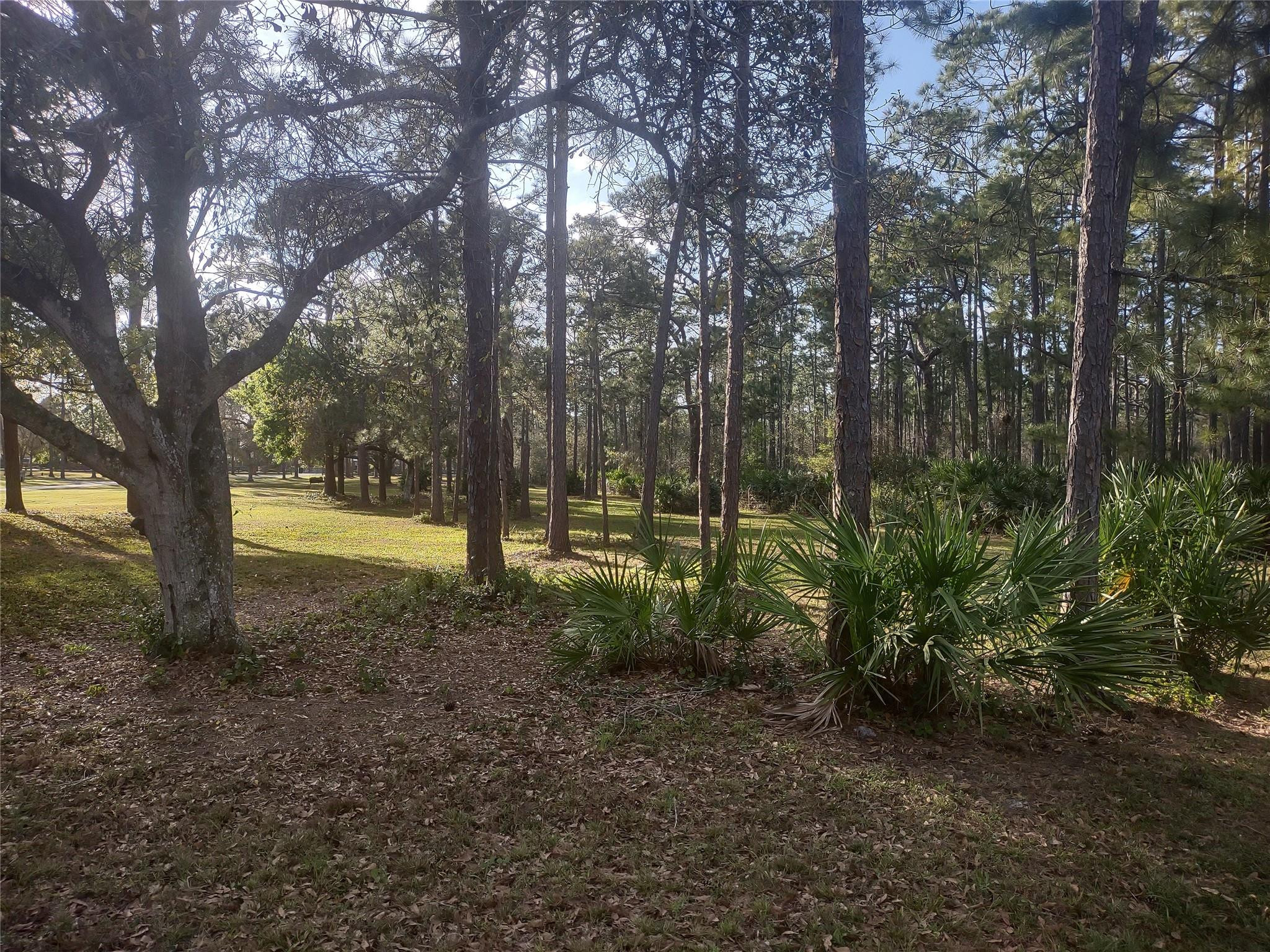 Country Hills Estate - Residential