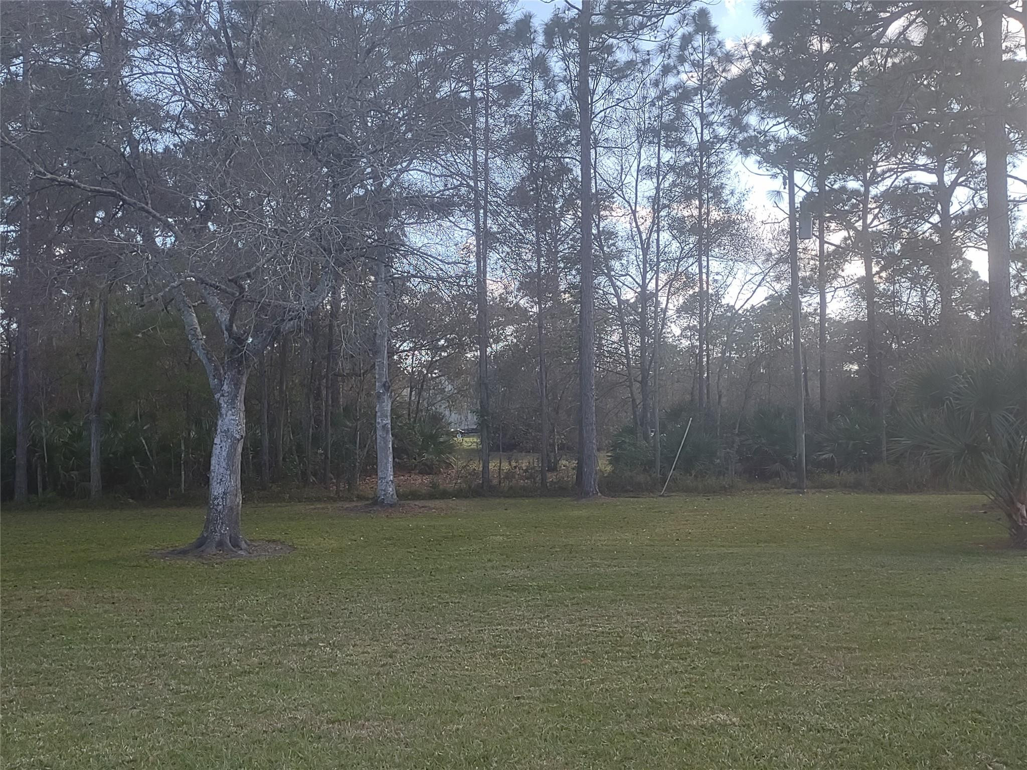 Country Hills Estate - Residential