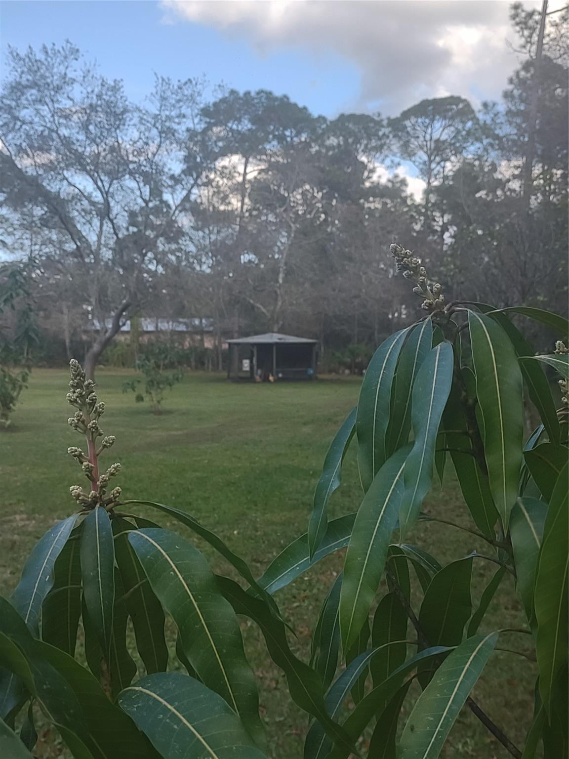 Country Hills Estate - Residential