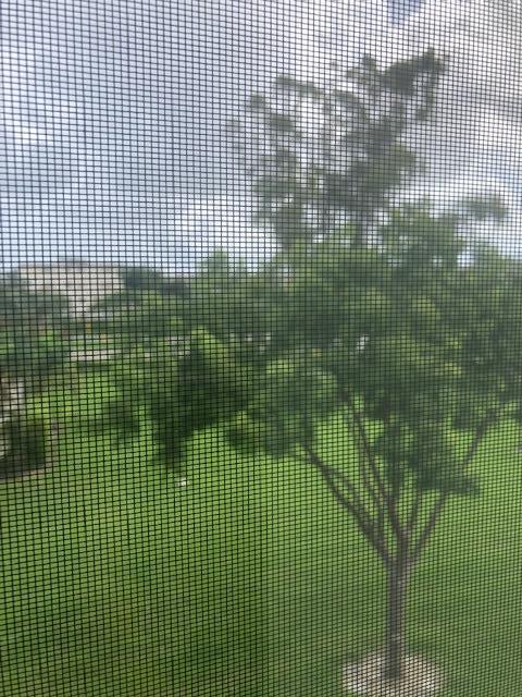 CENTURY VILLAGE - Residential