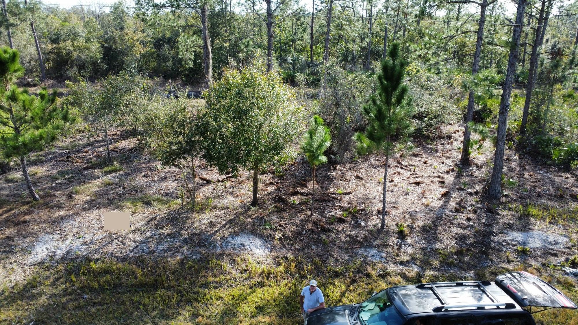 RARELY AVAILABLE .25 ACRE LOT JUST OFF SUN N LAKE BOULEVARD AND 1 BLOCK AWAY FROM THE STATE PRESERVE. PARCEL IS READY FOR ANY BUILDER TO COME IN AND GET STARTED RIGHT AWAY. LAND HAS BEEN STAKED AND SURVEYED, IT SITS ON A HIGHER LEVEL TO AVOID FLOODING, ELECTRIC IS ALREADY INSTALLED ON THE BLOCK, AND IT HAS BEEN CLEARED OUT EXCEPT FOR A FEW TREES THAT YOU MAY WANT TO KEEP. SAVE TIME AND MONEY. SUN N LAKES IS ONE OF THE FASTEST GROWING COMMUNITIES IN HIGHLANDS COUNTY. OWNER FINANCING AVAILABLE.