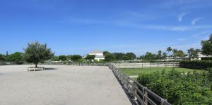 Saddle Trail of Wellington - Residential