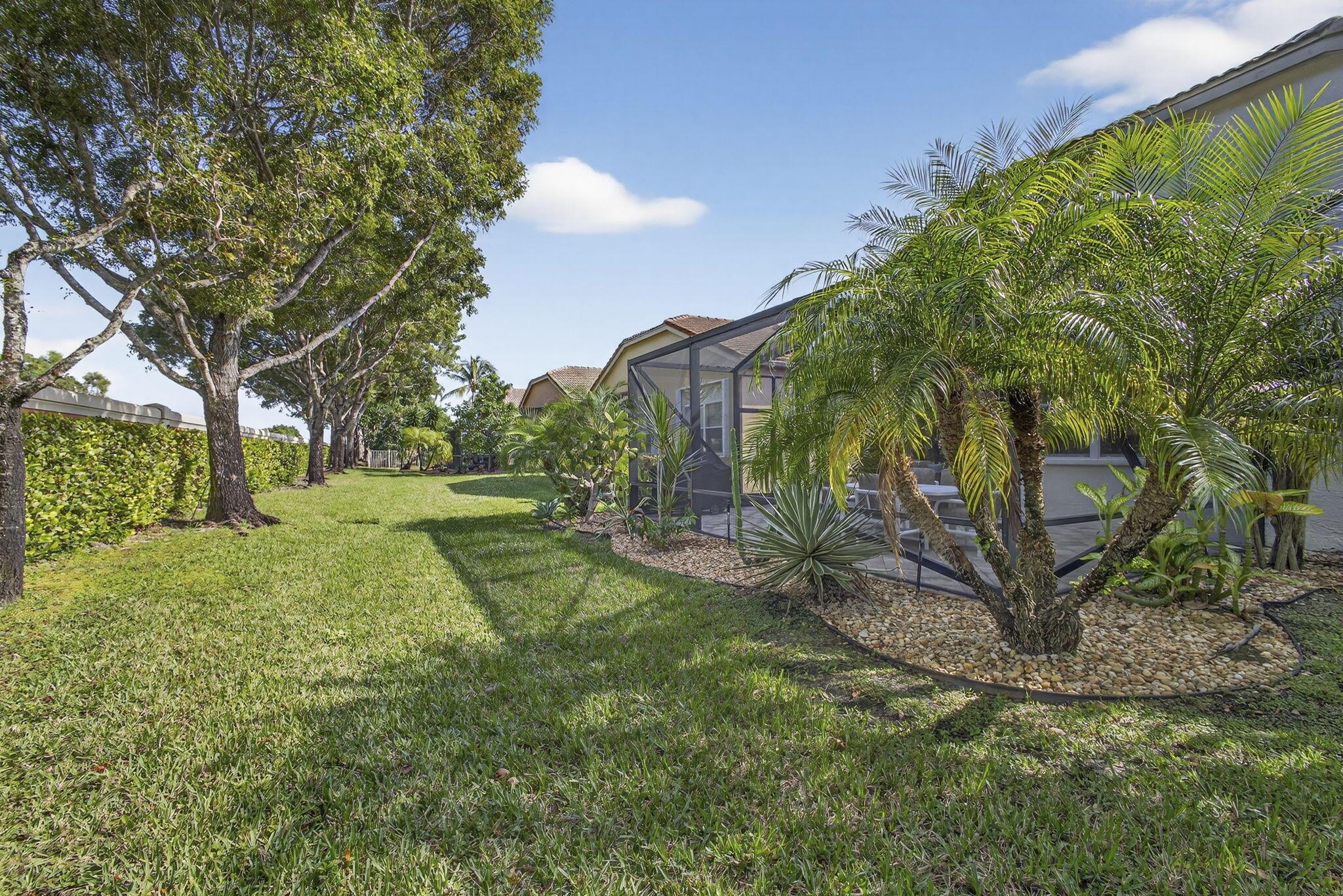 BUENA VIDA - Residential