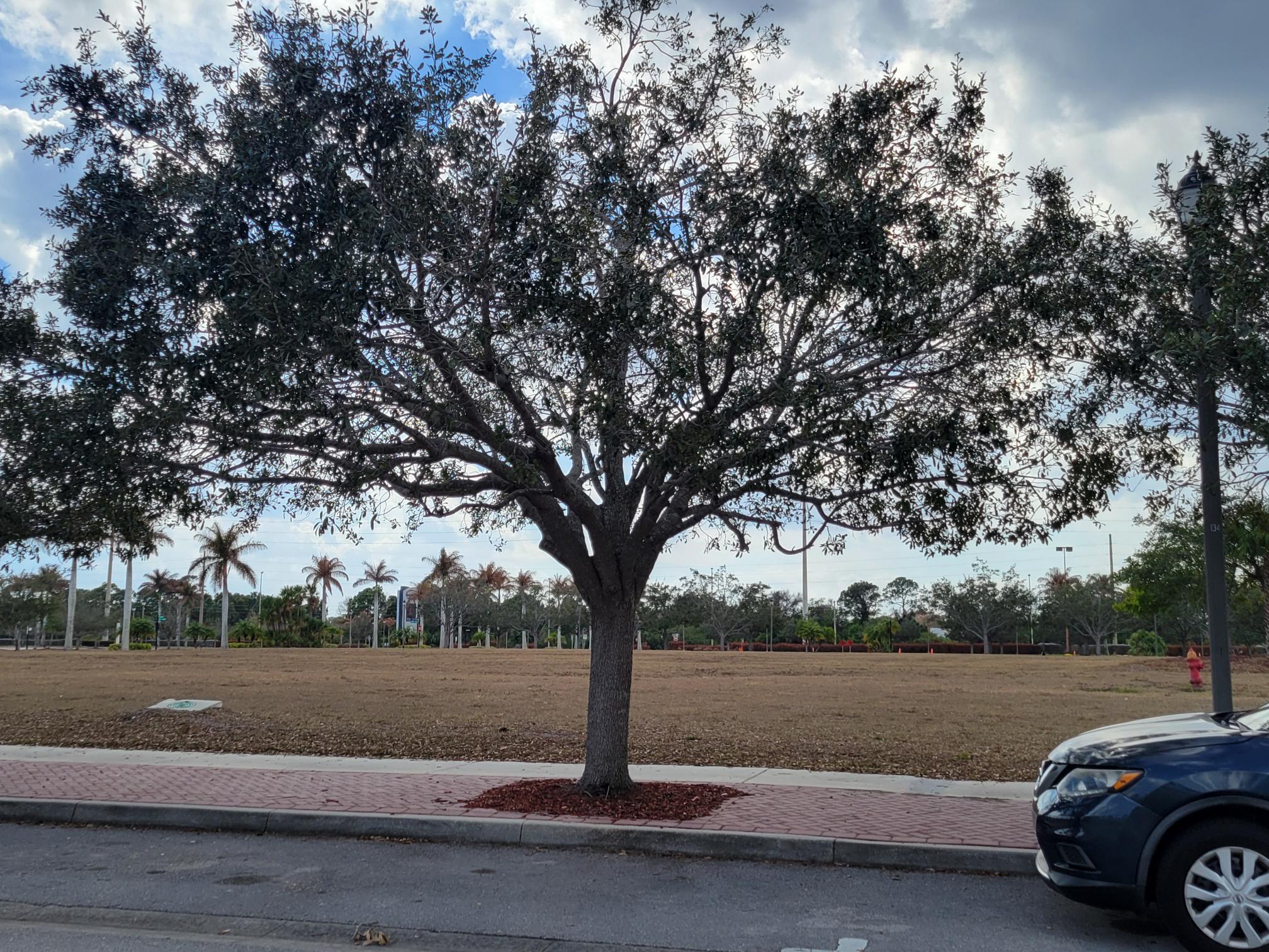 MEADOWS AT PORT ST. LUCIE BUILDINGS B&C - Residential