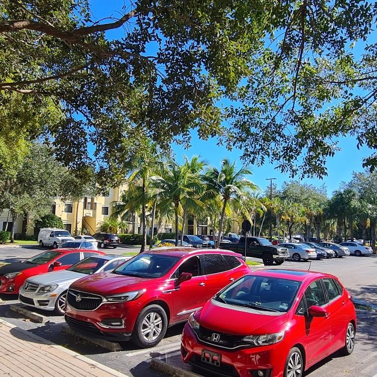 San Matera Gardens Condo - Residential Lease