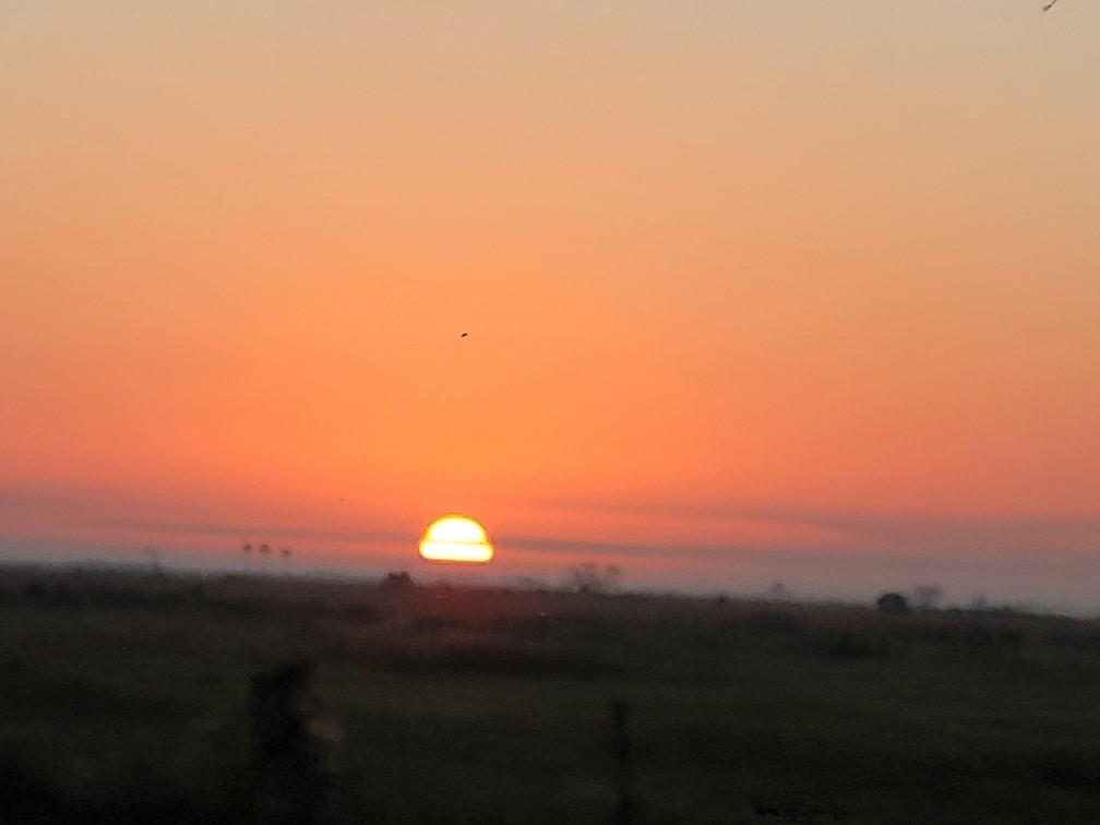 San Matera Gardens Condo - Residential Lease