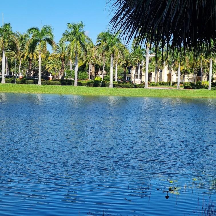 San Matera Gardens Condo - Residential Lease