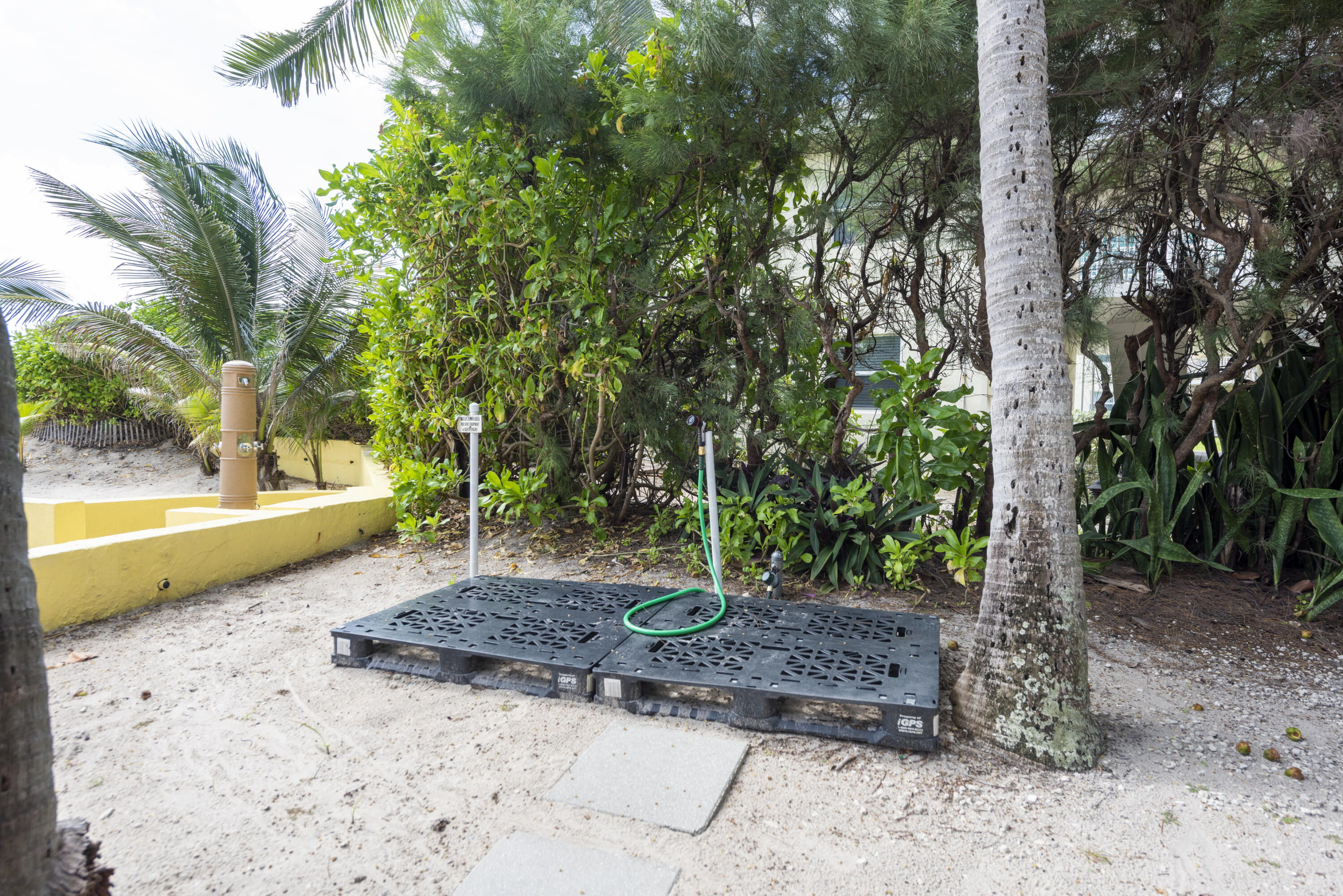 DELPHI TOWERS CONDO - Residential