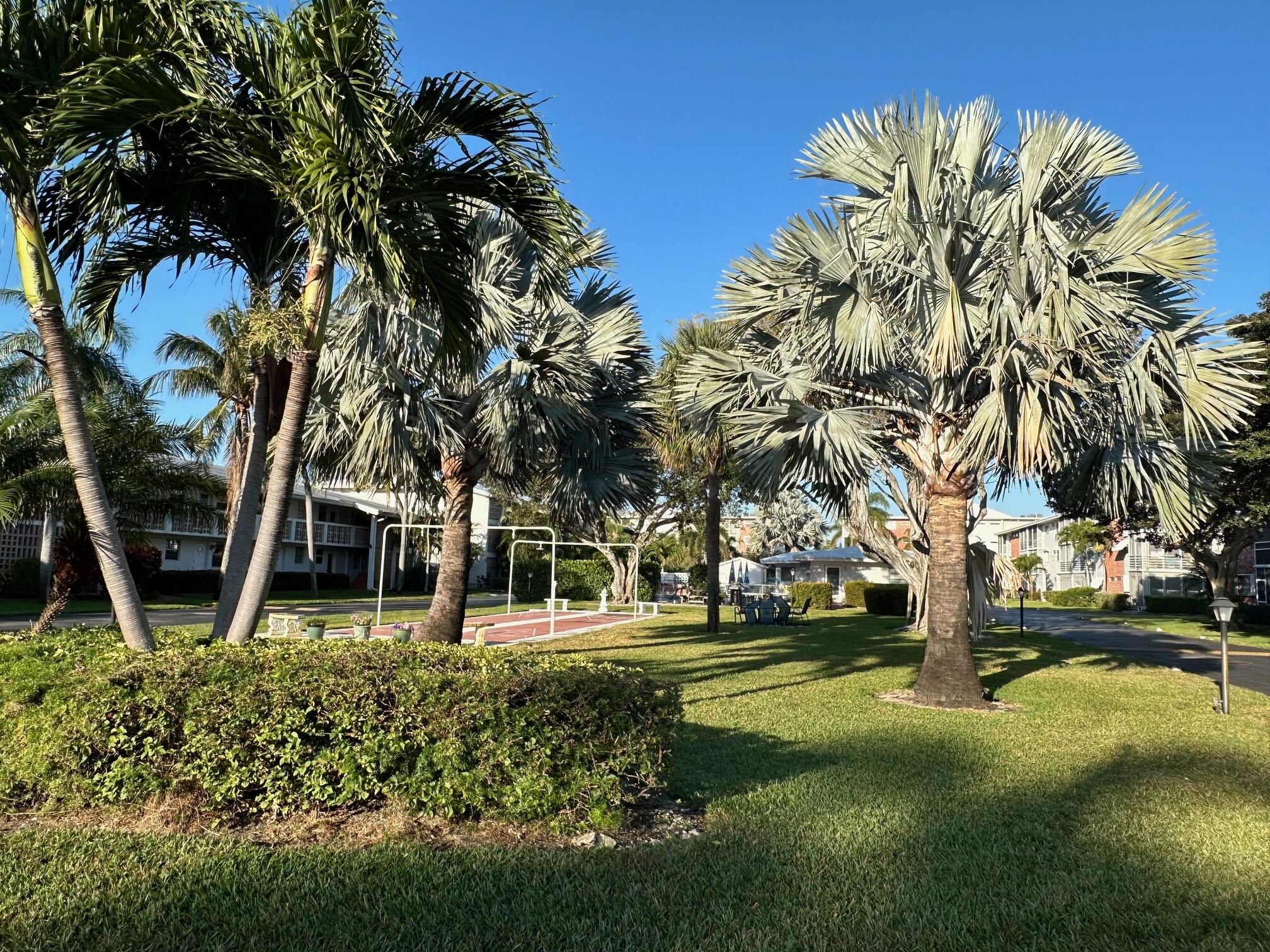 Palm Royal Apts - Residential