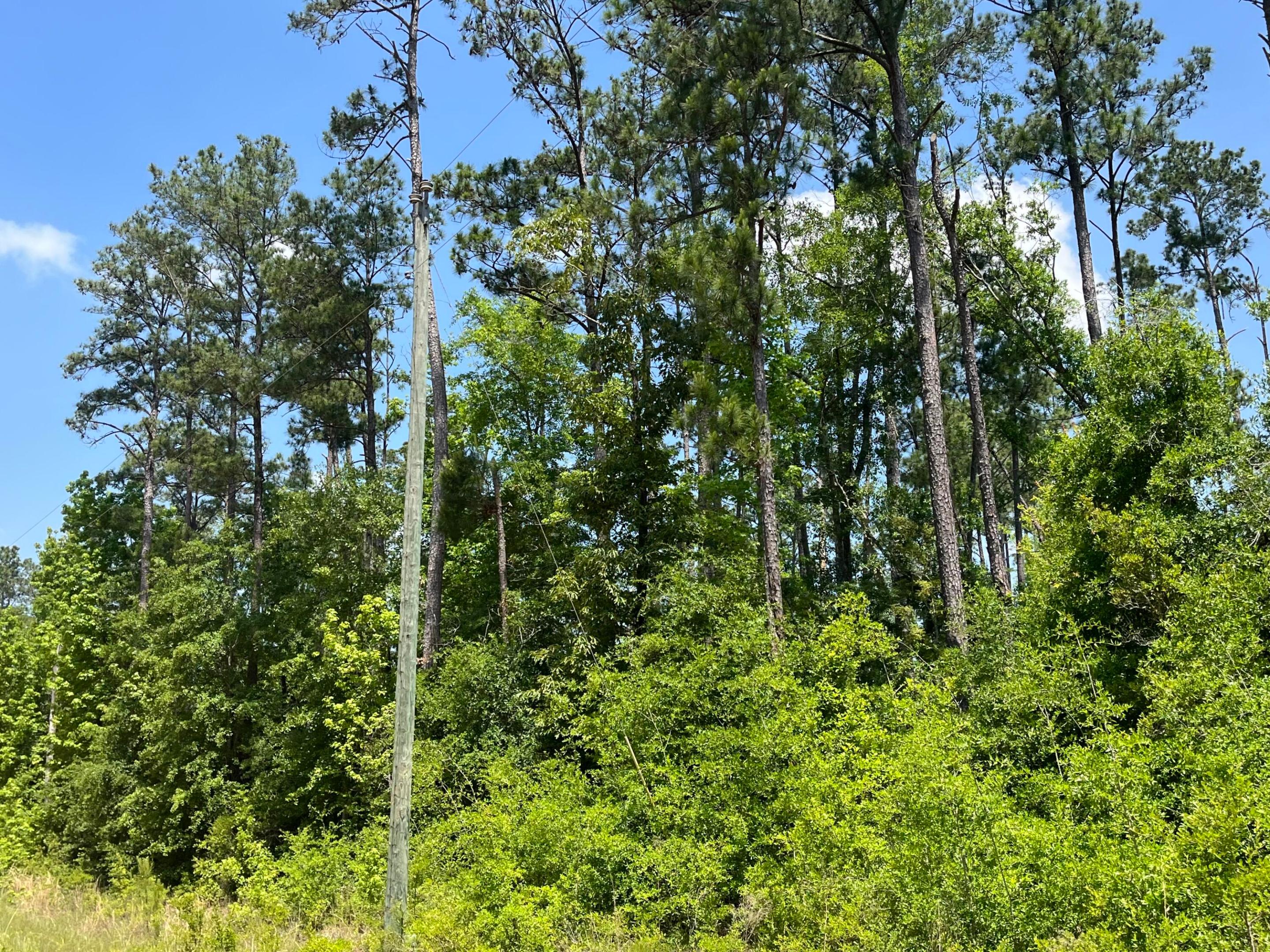 COMPASS LAKE HILLS - Land