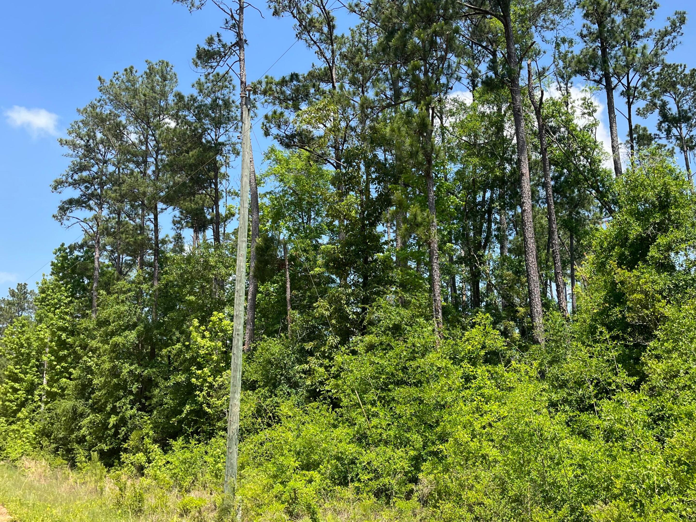 COMPASS LAKE HILLS - Land