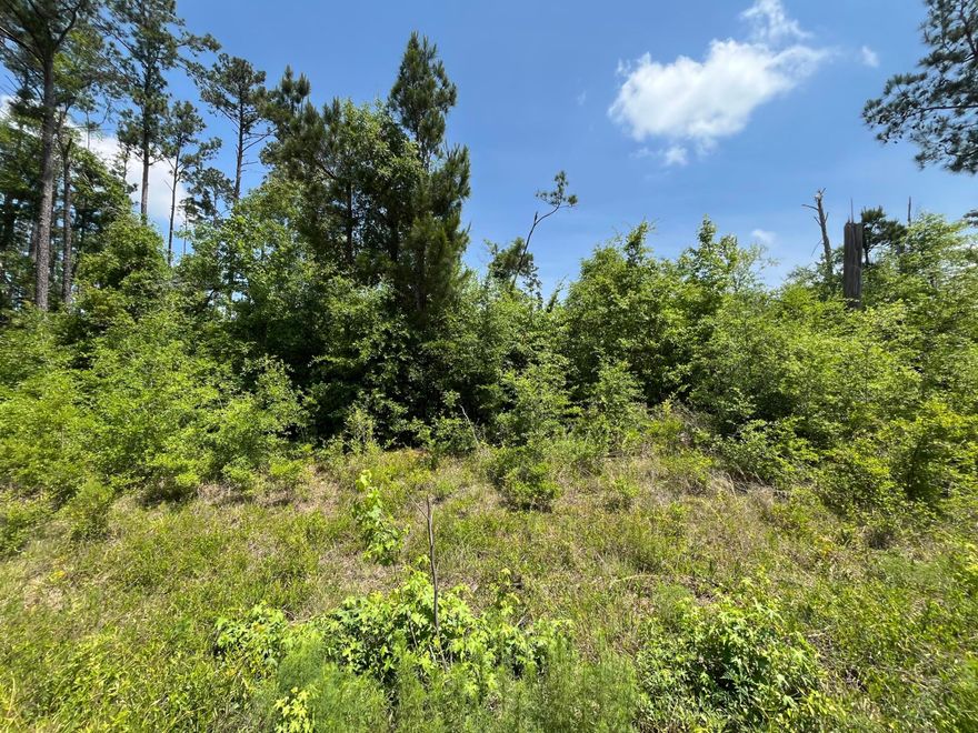 Owner Financing Available. Don't miss out on this wooded 1.05- acre residential lot in Compass Lake in the Hills just outside of Marianna, FL. Mobile or manufactured homes now permitted with approval This lot would be the perfect site for your dream home. It is close to beautiful Compass Lake which is a haven for boating, skiing, fishing, and swimming. Compass Lake in the Hills also has a club house with restaurant, tennis courts, swimming pool, picnic areas, business center, etc. This lot is located in close proximity to Hwy 231 and is about 45 to Panama City and about an hour to the Gulf Coast and its beautiful beaches! This is great opportunity to invest in the growing panhandle of Northwest Florida. FOR DIRECTION PURPOSES 3161 CLINTON CT LOCATED DIRECTLY BEHIND THE LOT
