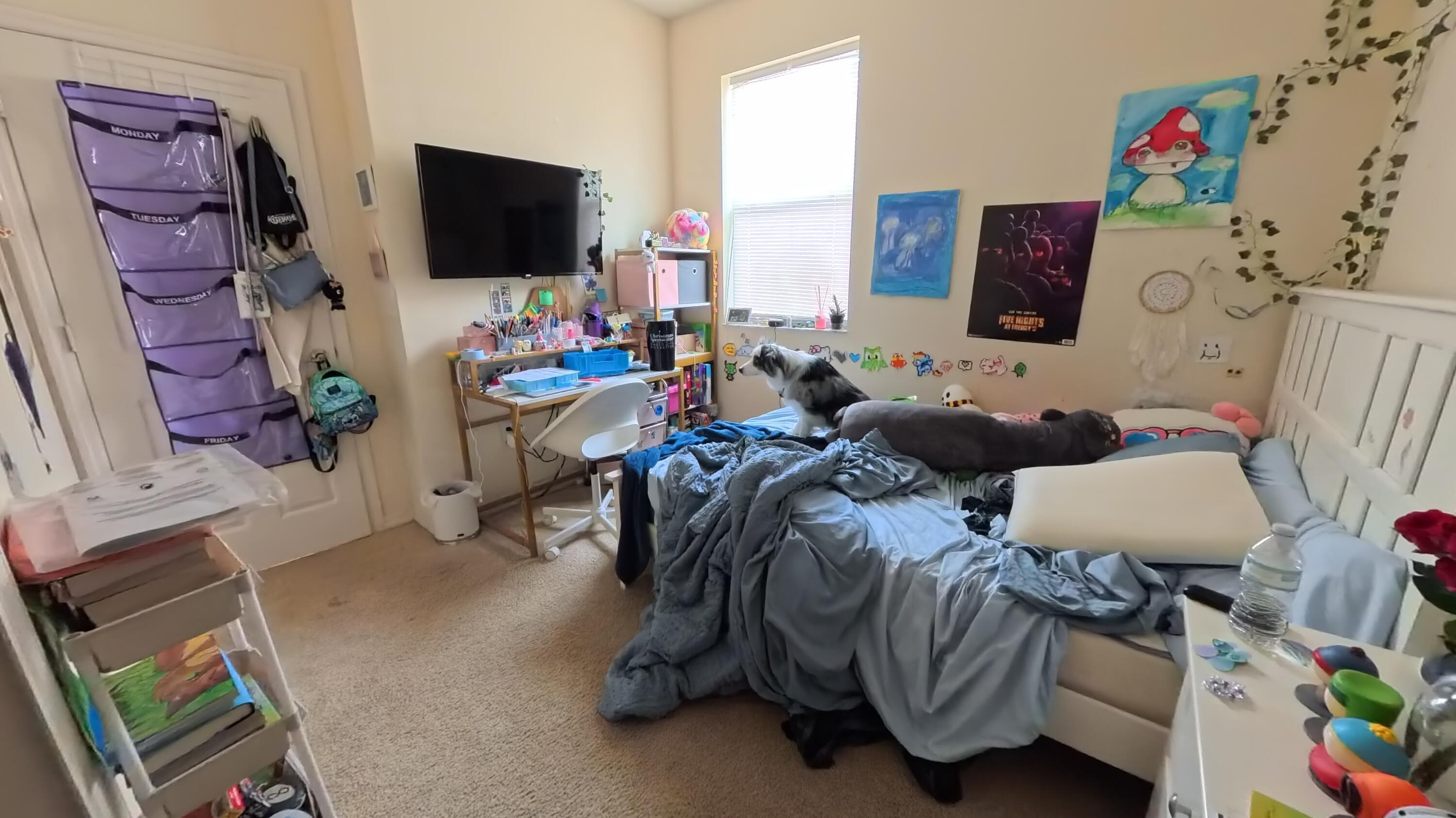 MABEL BRIDGE PHASE 2 - A REPLAT - Residential