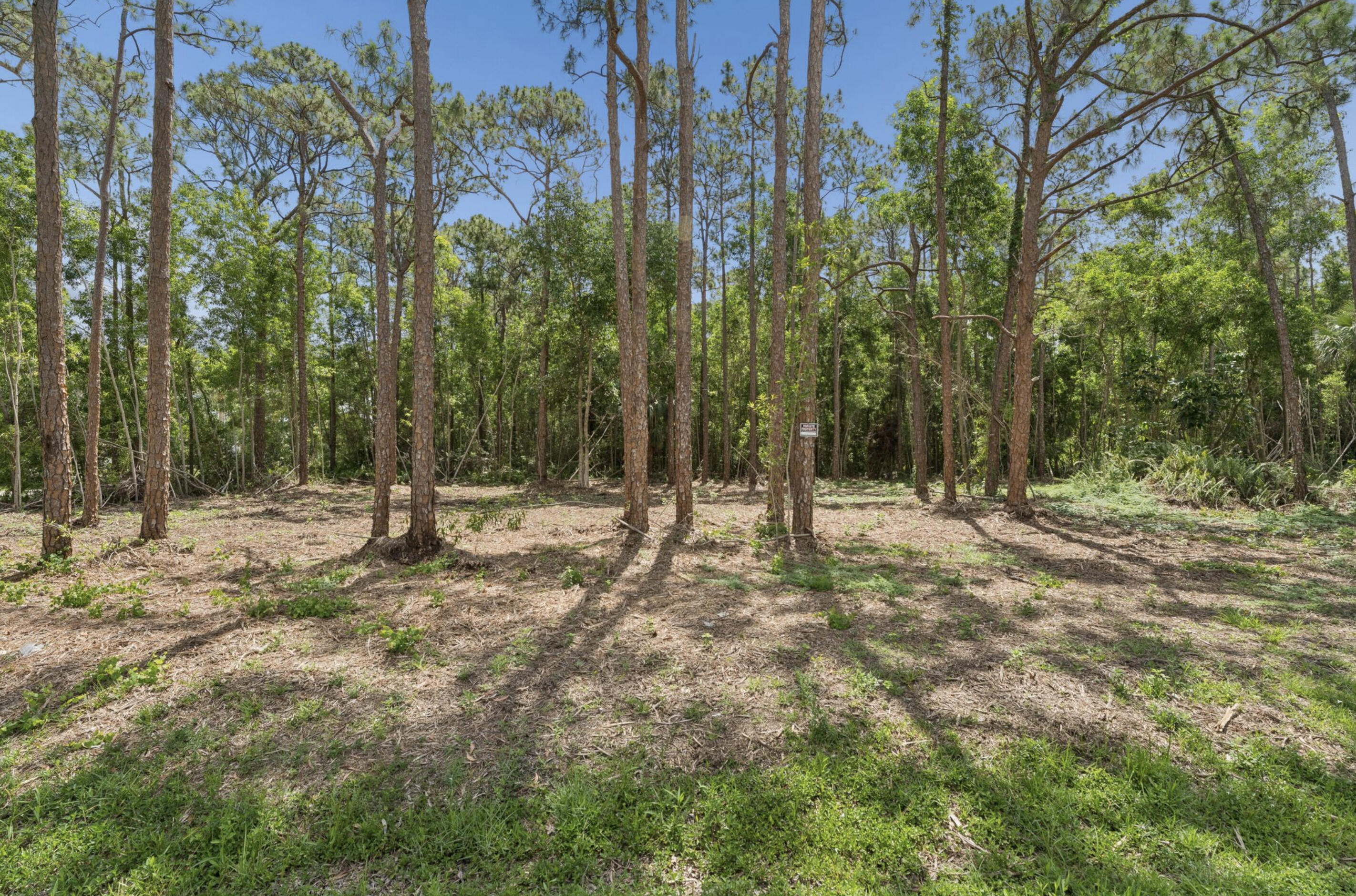 Acreage - Land