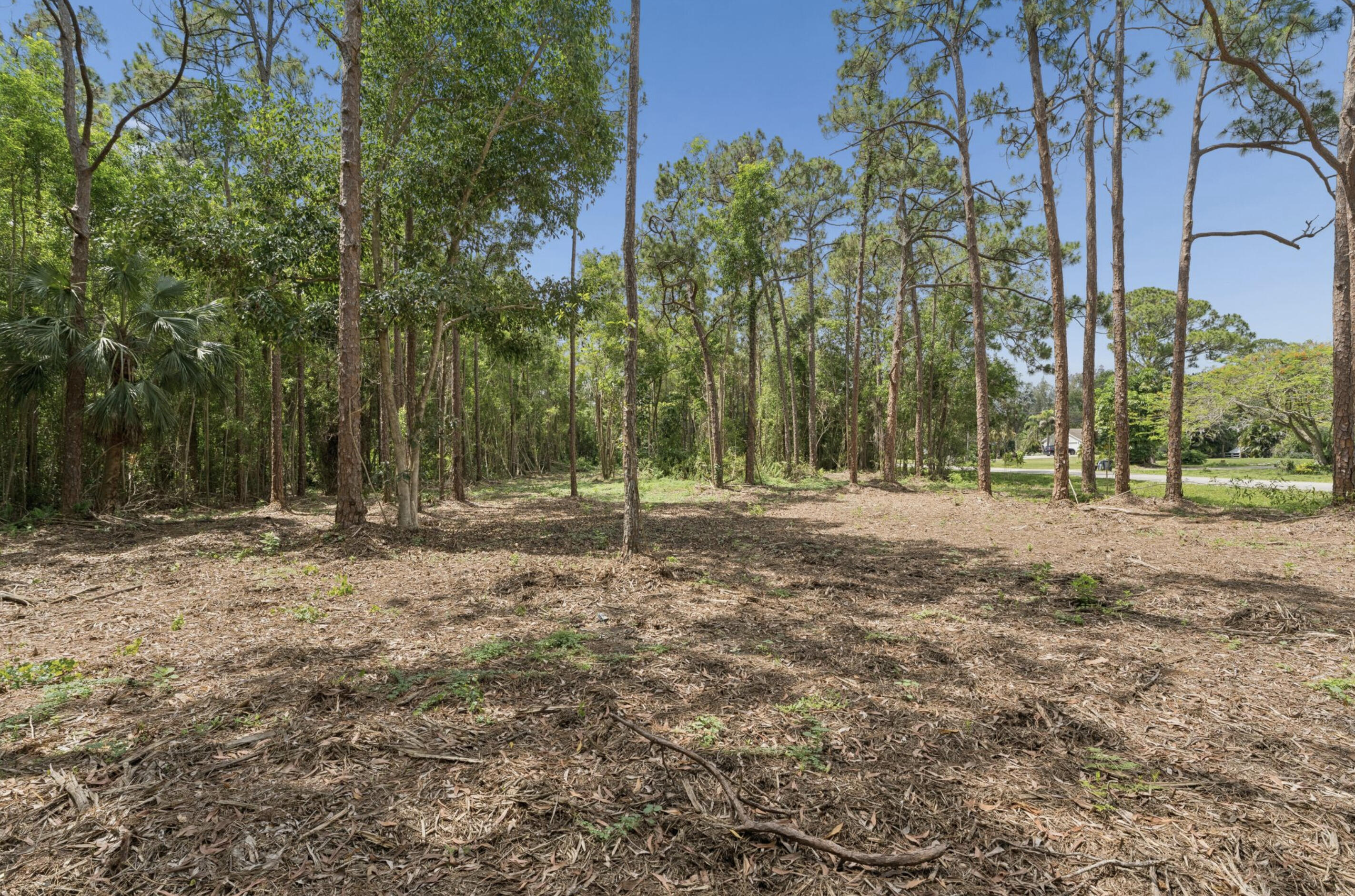 Acreage - Land