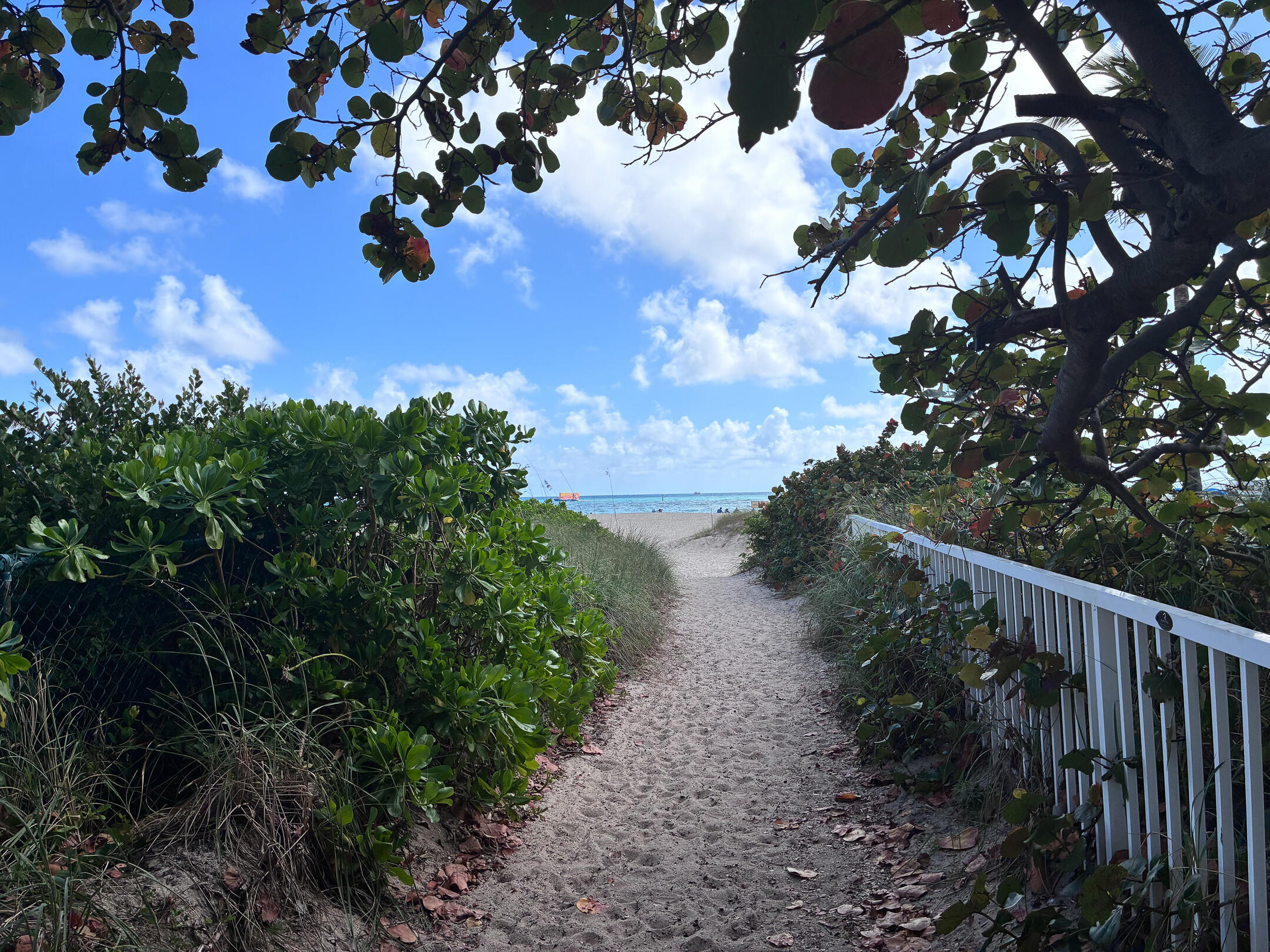 EVERGLADES HOUSE - Residential