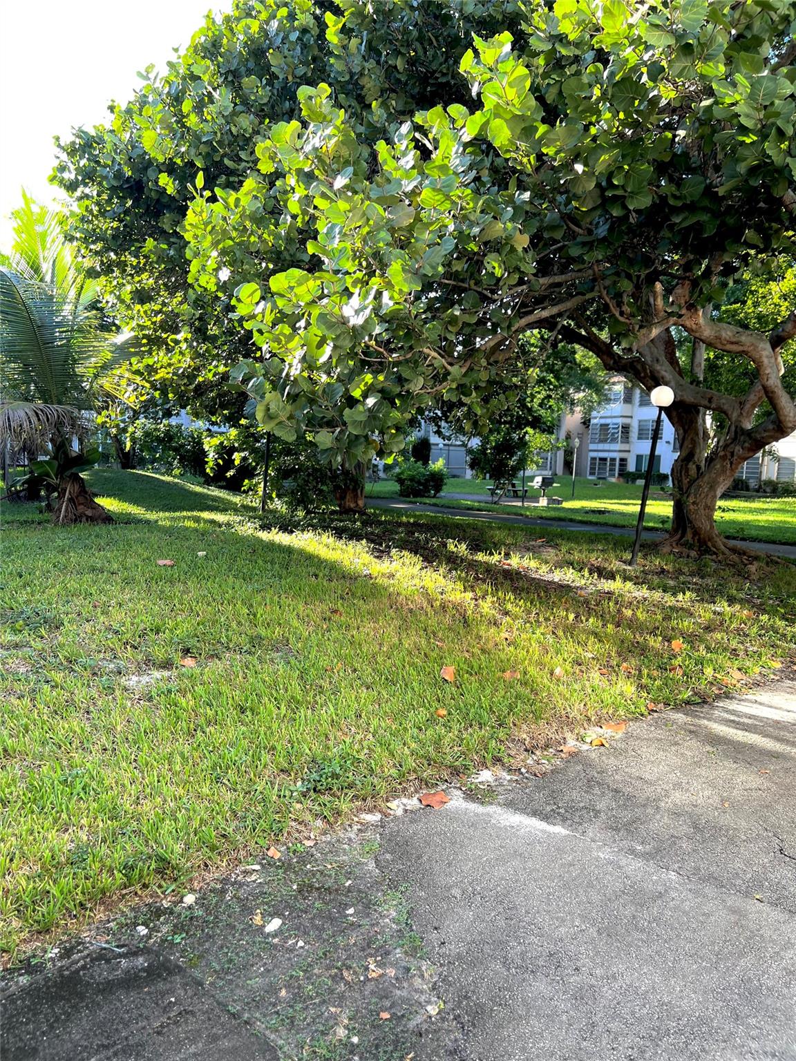 OMAGA CONDO - Residential
