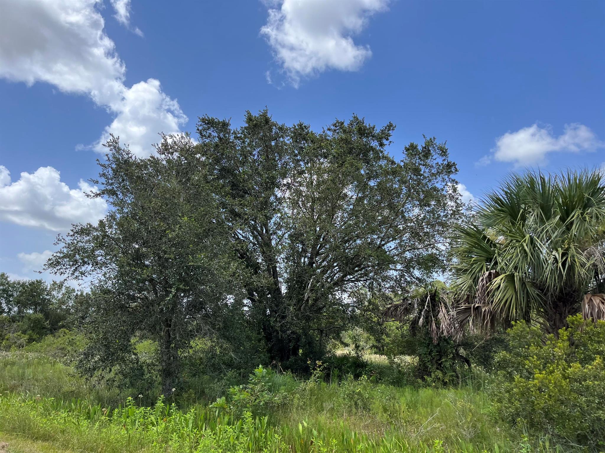 THE SOUTHERN COLONIZATION - Land