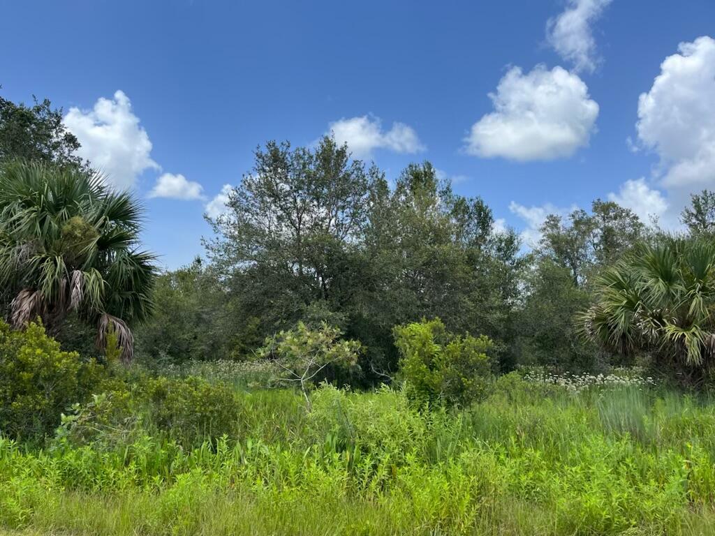 Build or bring your dream home and barn on this beautiful private high and dry 1.25 acre. This lot has already been cleared with power poles on the road making access to power a breeze. There is so much to enjoy in Okeechobee County. The Kissimmee River Preserve State Park West of this area as well is the Kissimmee River. The Kissimmee River flows into Lake Okeechobee and is well known for some of the best fishing. whether you like Fishing, hunting, mudding agriculture or just privacy here you have it all.
