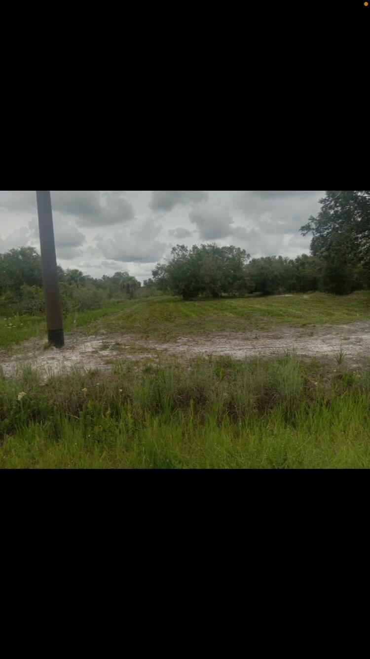 THE SOUTHERN COLONIZATION - Land