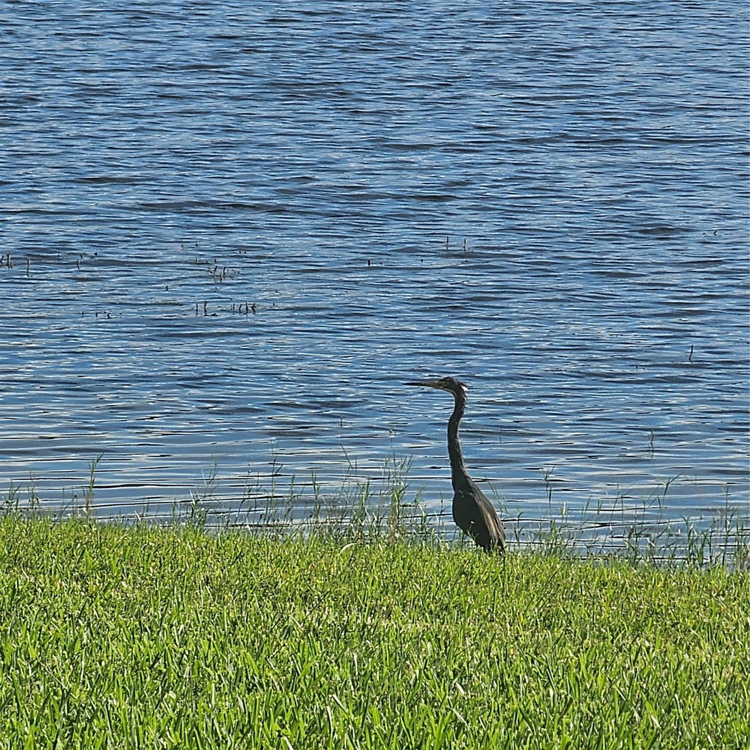 601 SW 141st Ave 114P