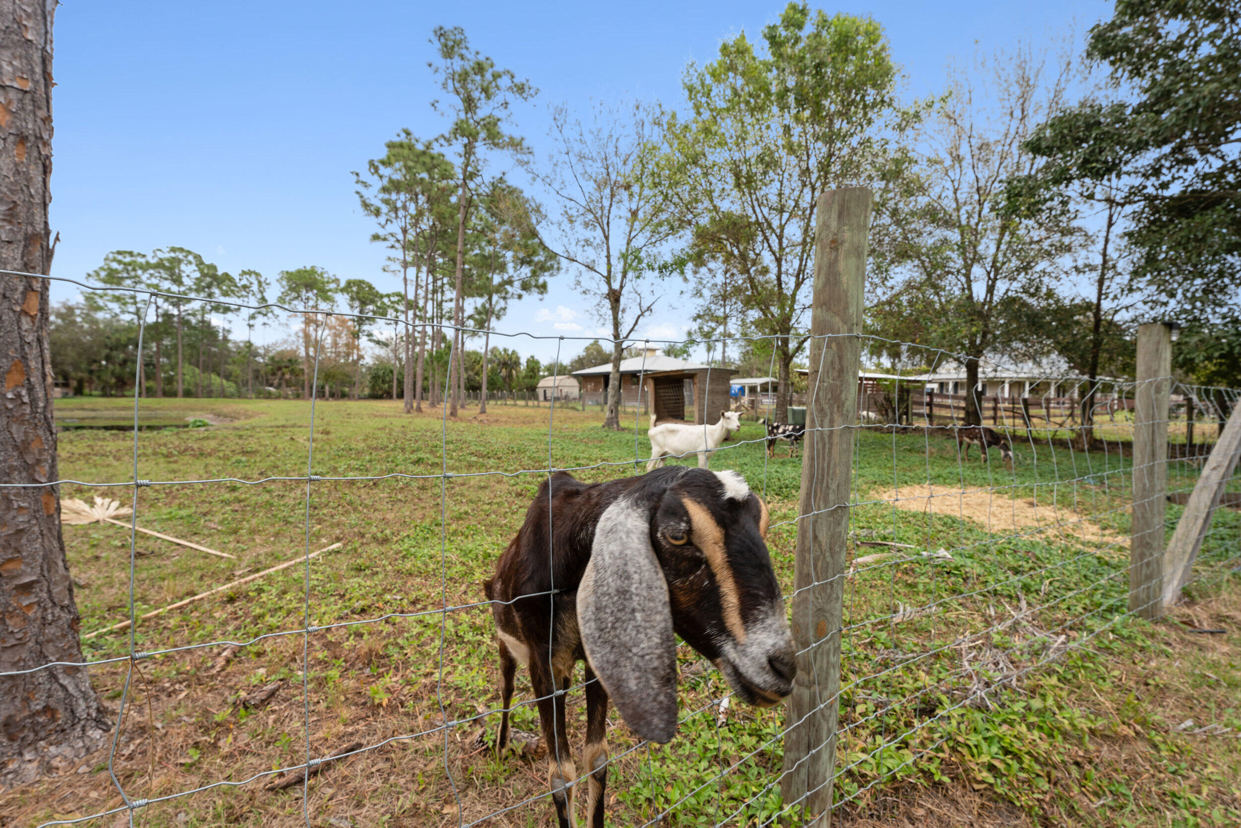 Palm City Farms - Residential