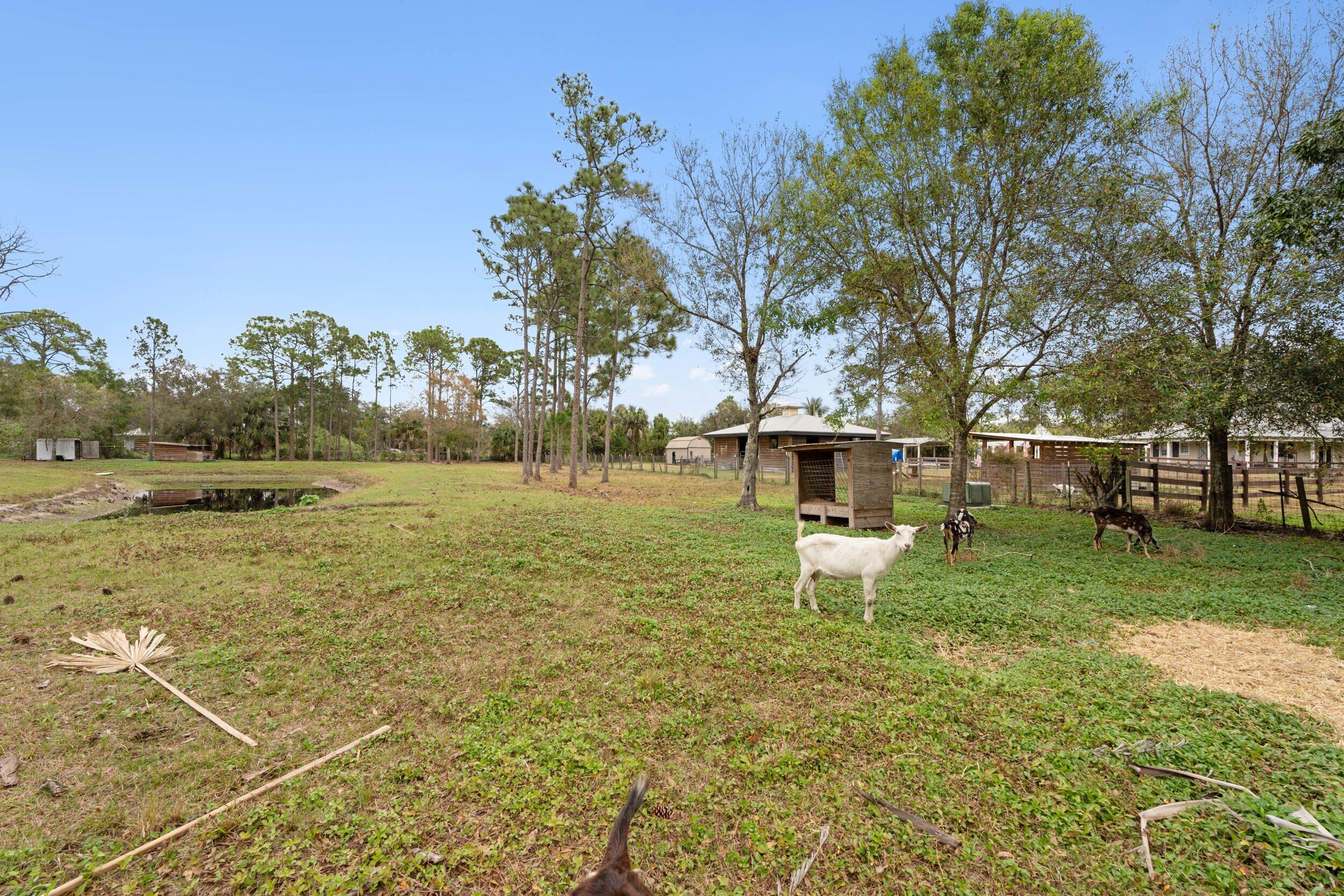 Palm City Farms - Residential