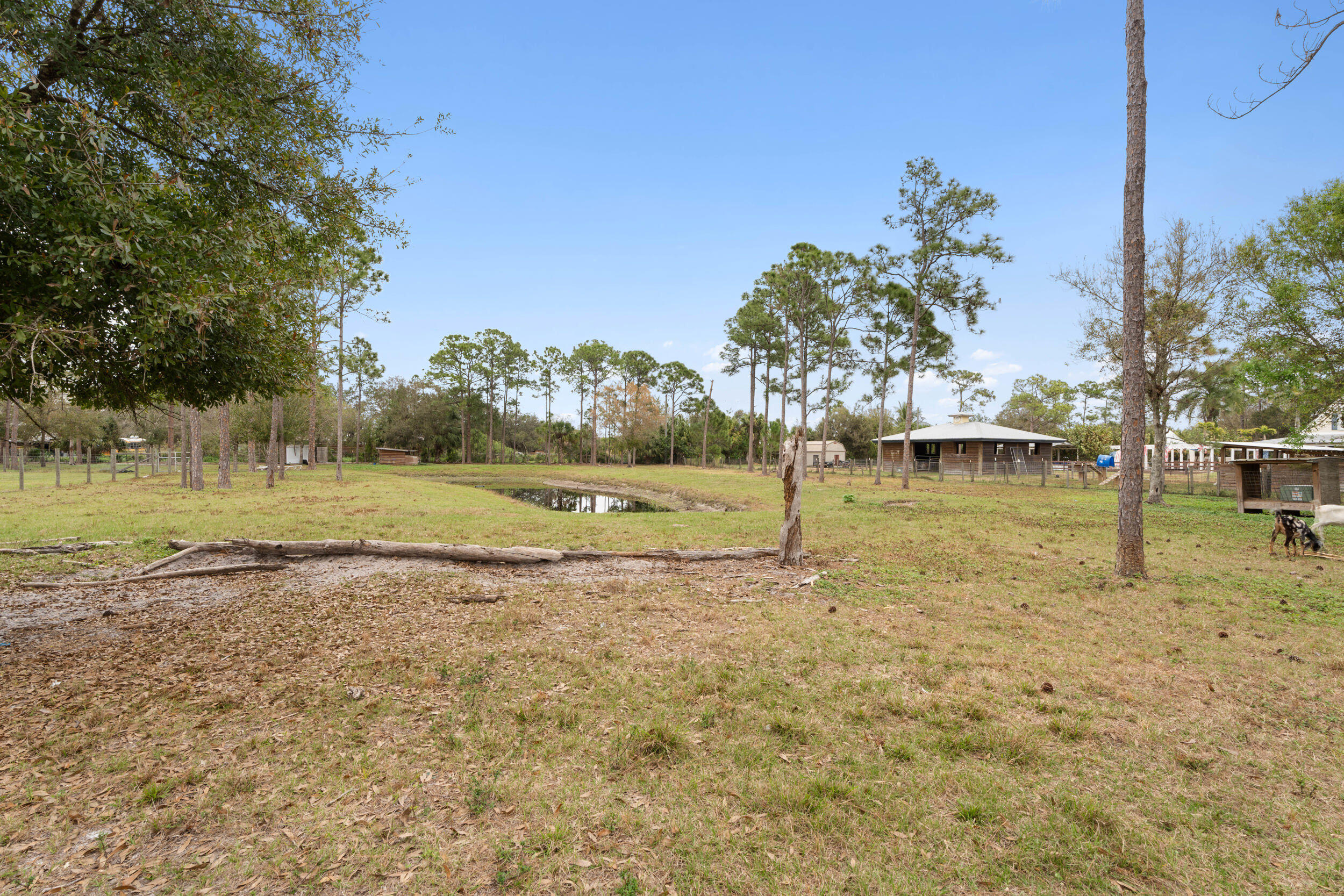 Palm City Farms - Residential