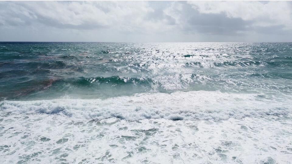 HILLSBORO MILE OCEAN APTS SEC 2 - Residential