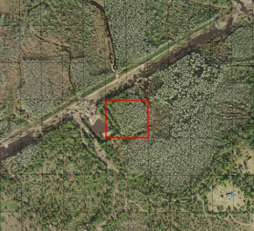 HP107 HOLOPAW - Land