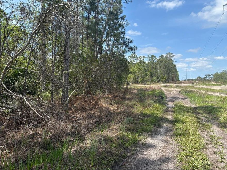 1.25 acres in Holopaw. Ride, camp and hunt.Easy access to this oversized Holopaw lot. Owner finance available