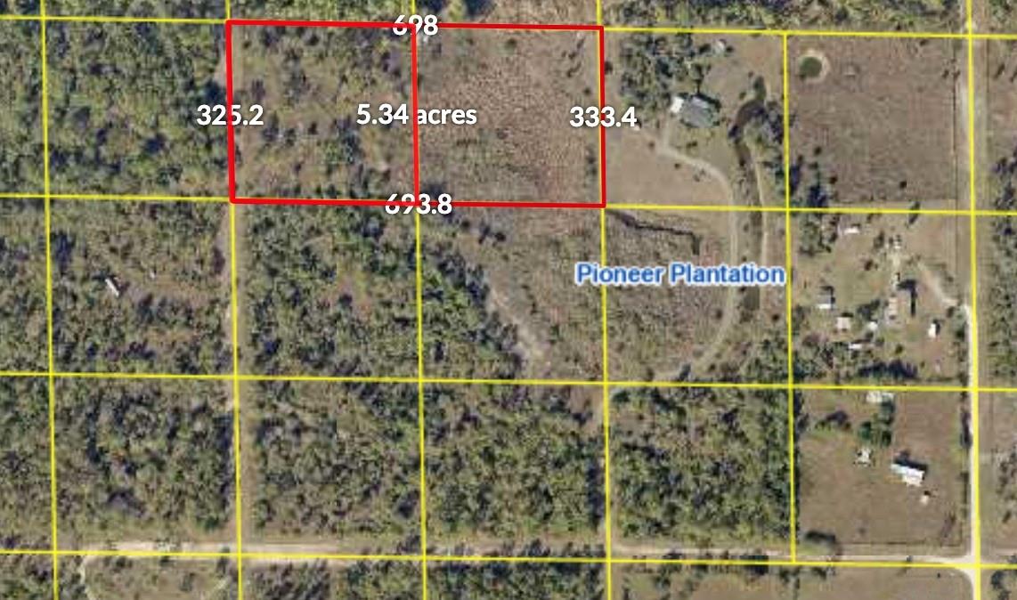 Pioneer Plantation - Land