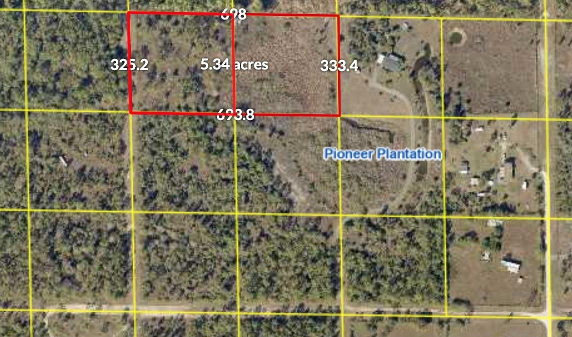 Pioneer Plantation - Land