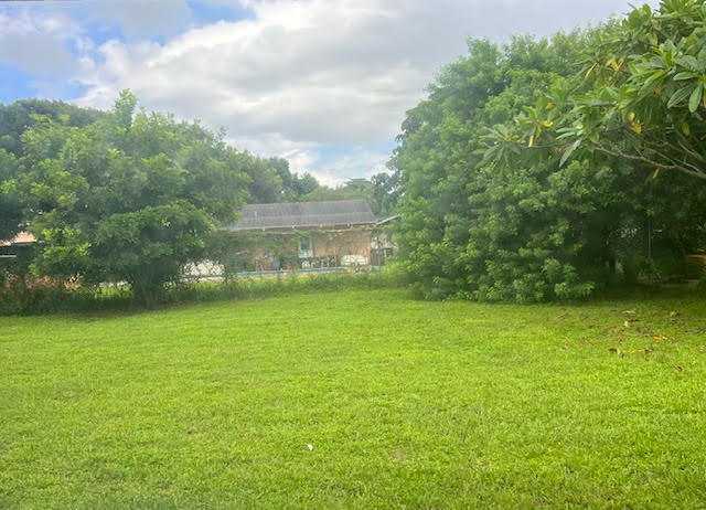 4214 WAVERLY Drive