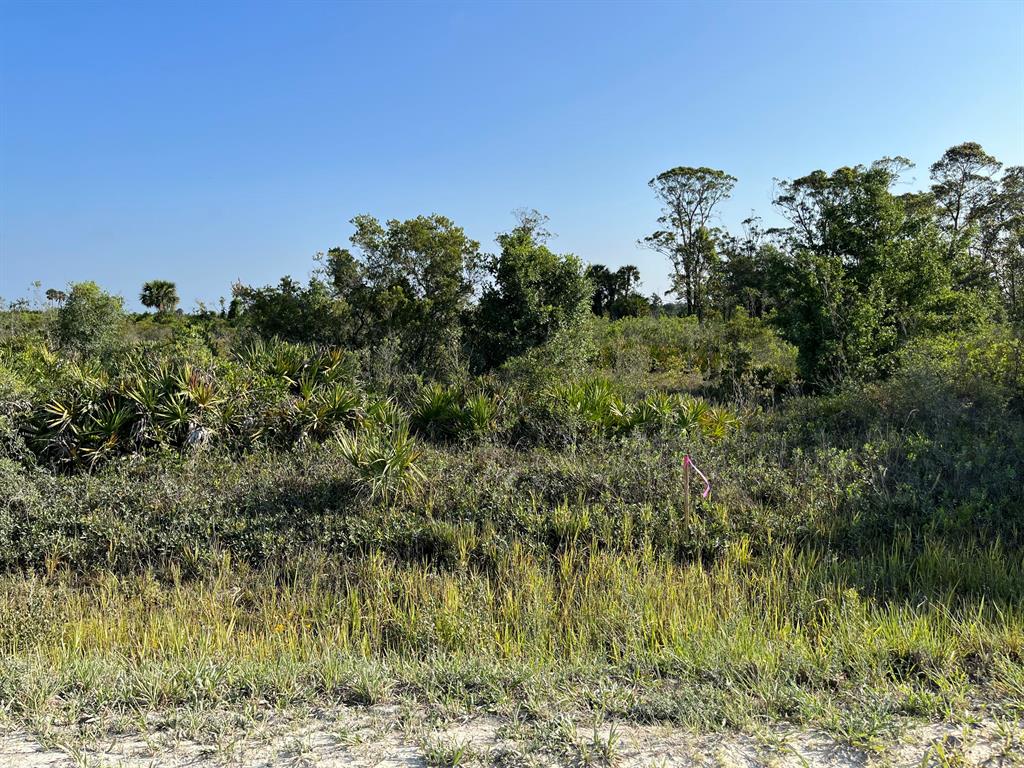 Price reduced for a quick sale ...Build or bring your dream home and barn on this beautiful and private 2.5 acre not far off the main paved road. There are power poles on one street over making it easy to get power to your new home. there is so much to enjoy in Okeechobee County. Come to The Kissimmee River Preserve State Park West of this area as well is the Kissimmee River. The Kissimmee River flows into Lake Okeechobee and is well known for some of the best fishing. whether you like Fishing, hunting, mudding agriculture or just privacy here you have it all. this listing is for two 1.25-acre lots 18611 and 18663 NW 256TH ST sold together total of 2.5-acres