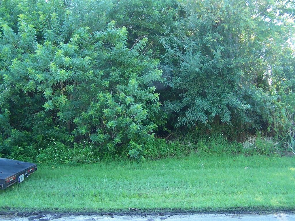 Photo of 2243 SW Plymouth Street, Port Saint Lucie, FL 34953 (MLS # R10747989)