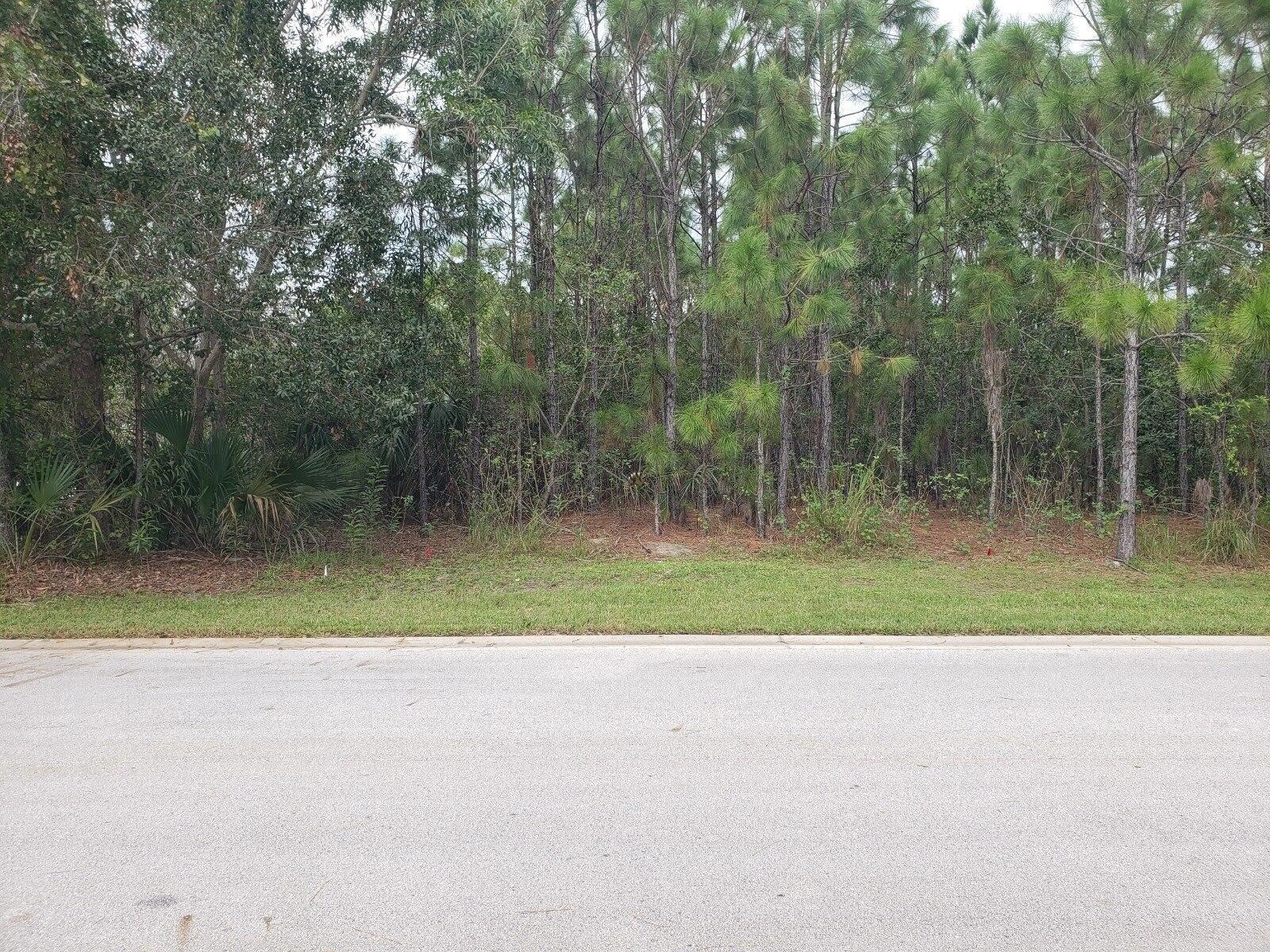 Build Your Dream Home on a Magnificent Lot in the Desirable Oak Alley Community! Looking for the perfect place to build your dream home? Look no further than this rare and magnificent oversized lot located in the highly sought-after Oak Alley community! Nestled within a quiet, tree-lined cul-de-sac block, this stunning lot is surrounded by beautiful new homes + offers a level of exclusivity that is hard to come by. With its gated entrance, you can feel safe + secure in your own private paradise. Don't miss out on this incredible opportunity to bring your vision to life and create your very own oasis. And with low HOA fees, you'll have even more freedom to make it just the way you want it. Lot is oversized 100 x 130. EVIDENCE OF TURTLE BORROWS ON LOT.