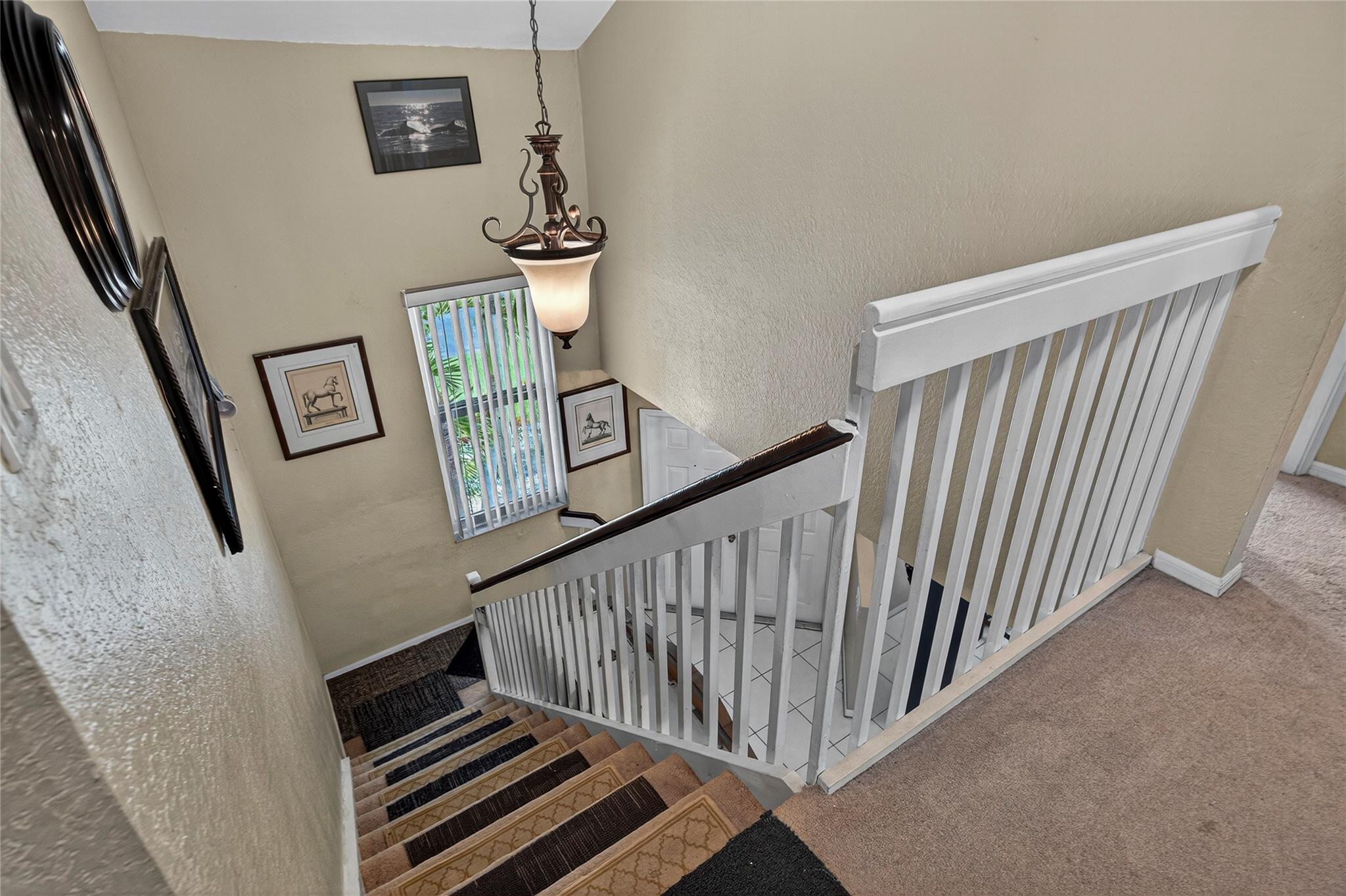 Citrus Park - Residential