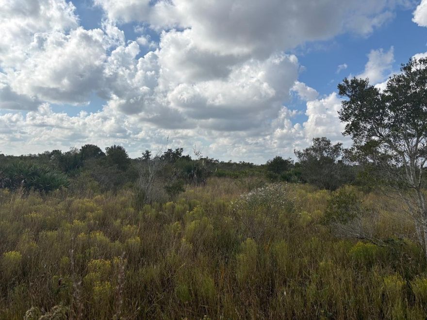1.25 acre lot in Viking Estates. Close to the Kissimmee Prairie State Park. Bring your 4 -wheelers. This property is not only ideal for recreational uses such has camping, hunting and shooting, but it’s agricultural as well.