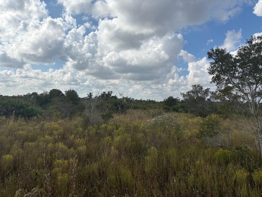 1.25 acre lot in Viking Estates. Close to the Kissimmee Prairie State Park. Bring your 4 -wheelers. This property is not only ideal for recreational uses such has camping, hunting and shooting, but it’s agricultural as well.