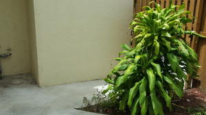 EDEN PLACE CONDO - Residential Lease