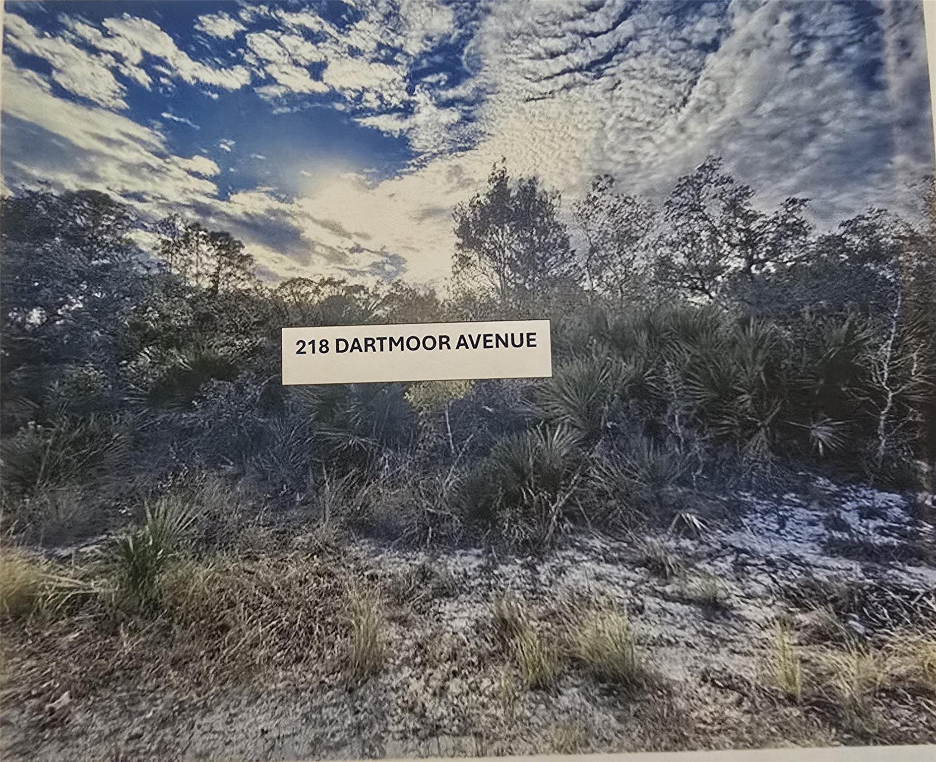 Great vacant lots in a suitable area with some already built homes. If you want to build your dream home or you want to buy and hold for investment, you've got it. There are several homes very close to these vacant lots with estimated values from $235,000 to $347,000 or more according to Zillow. 2 adjacsent lots are for sale (216 & 218 Dartmoor Ave). They can be bought together or separately. Don't miss this great opportunity!