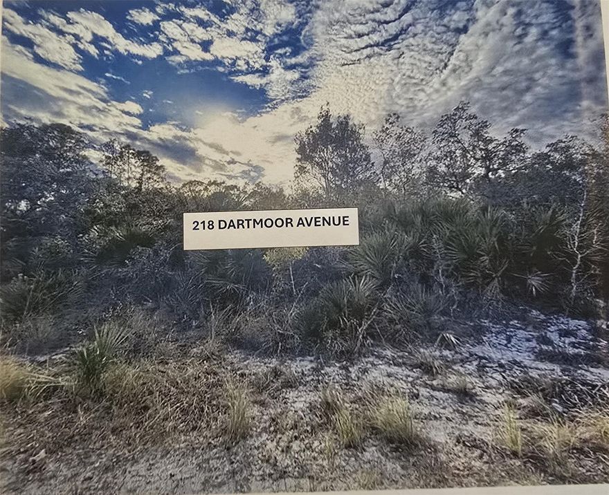 Great vacant lots in a suitable area with some already built homes. If you want to build your dream home or you want to buy and hold for investment, you've got it.  There are several homes very close to these vacant lots with estimated values from $235,000 to $347,000 or more according to Zillow.  2 adjacsent lots are for sale (216 & 218 Dartmoor Ave).  They can be bought together or separately.  Don't miss this great opportunity!