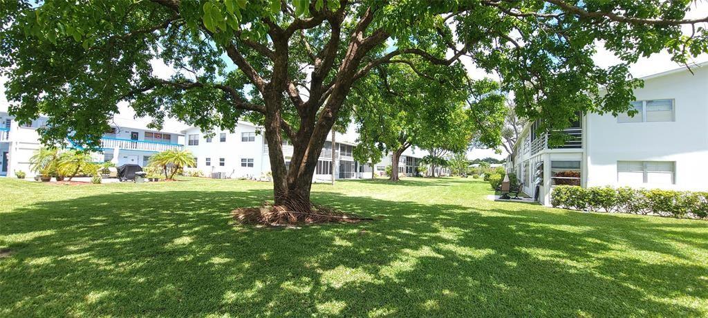 Deerfield Beach, Florida 33442, United States, 1 Bedroom Bedrooms, ,2 BathroomsBathrooms,Residential,Active,246471