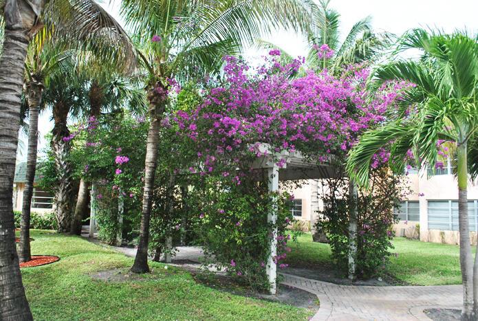 COCO CAY CONDO - Residential Lease