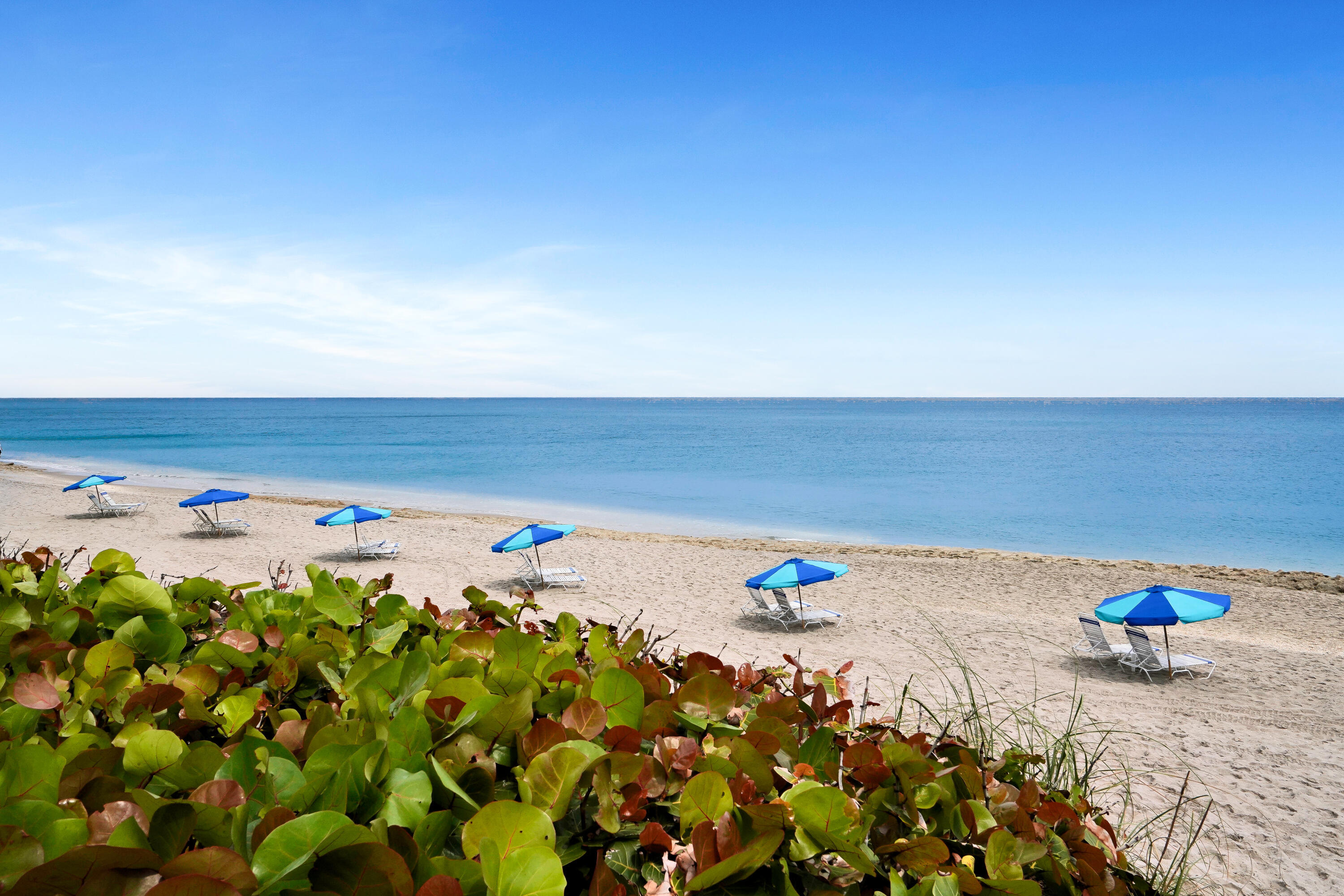 4100 N Ocean Drive 803