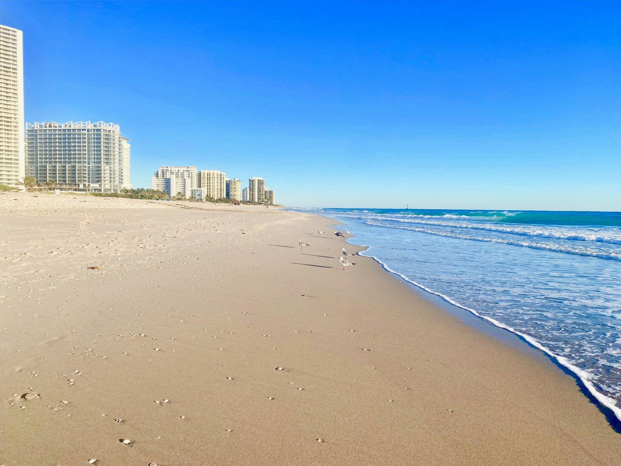 4100 N Ocean Drive 803