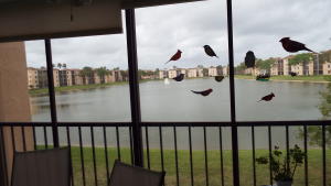 HUNTINGTON POINTE - Residential