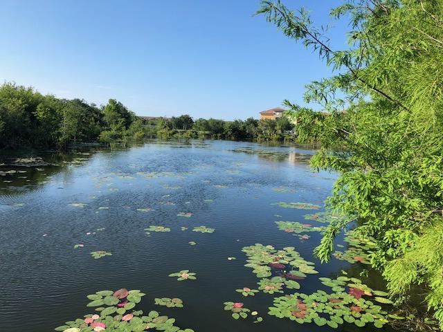 EAST LAKE VILLAGE NO 2 - Residential