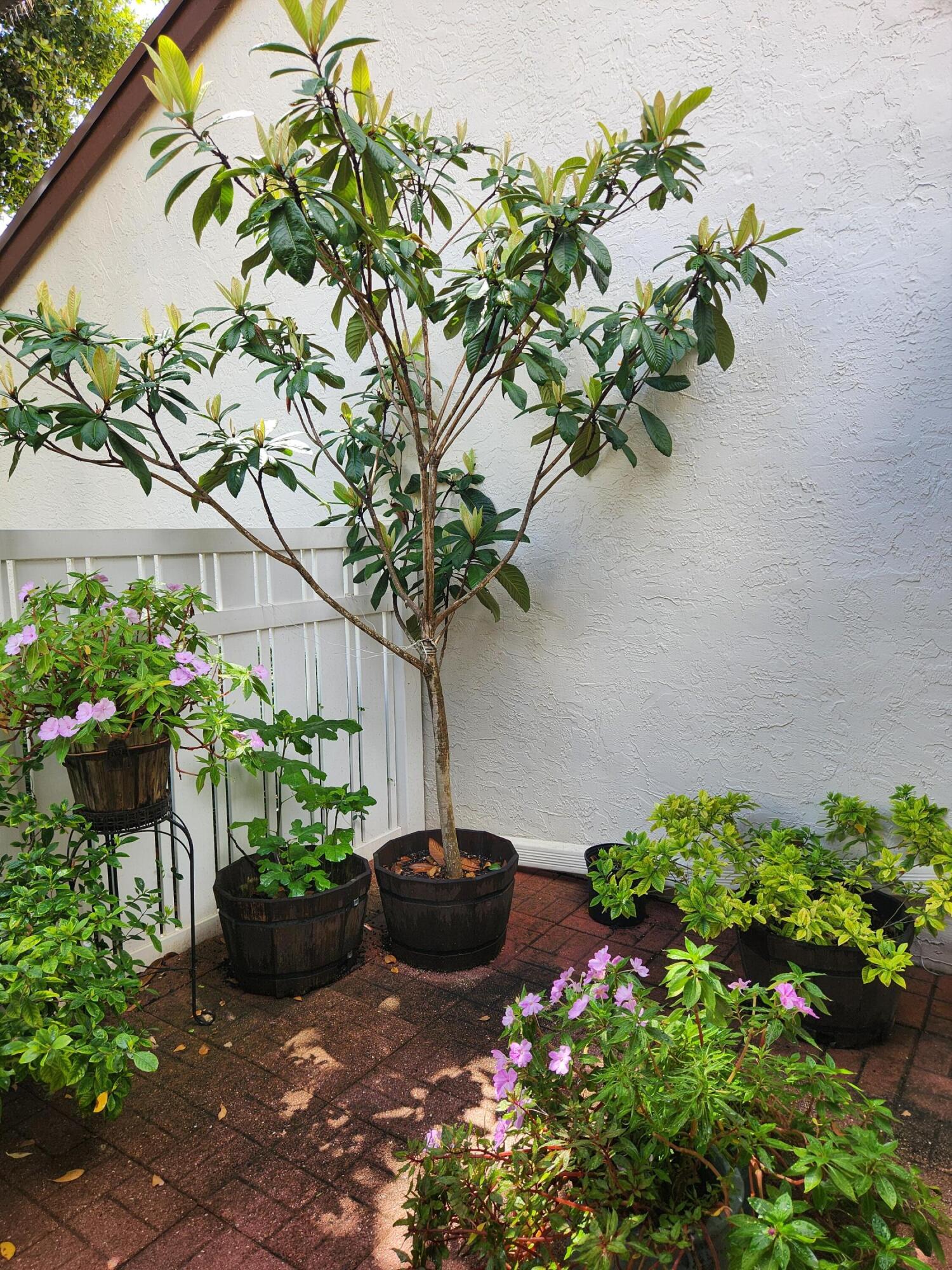 TARTAN COCONUT CREEK PHASE II - Residential